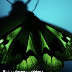 familiar&sinister.mp3