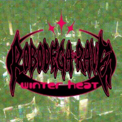 ROBODEGA RAVE - WINTER HEAT