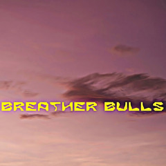 Breather Bulls