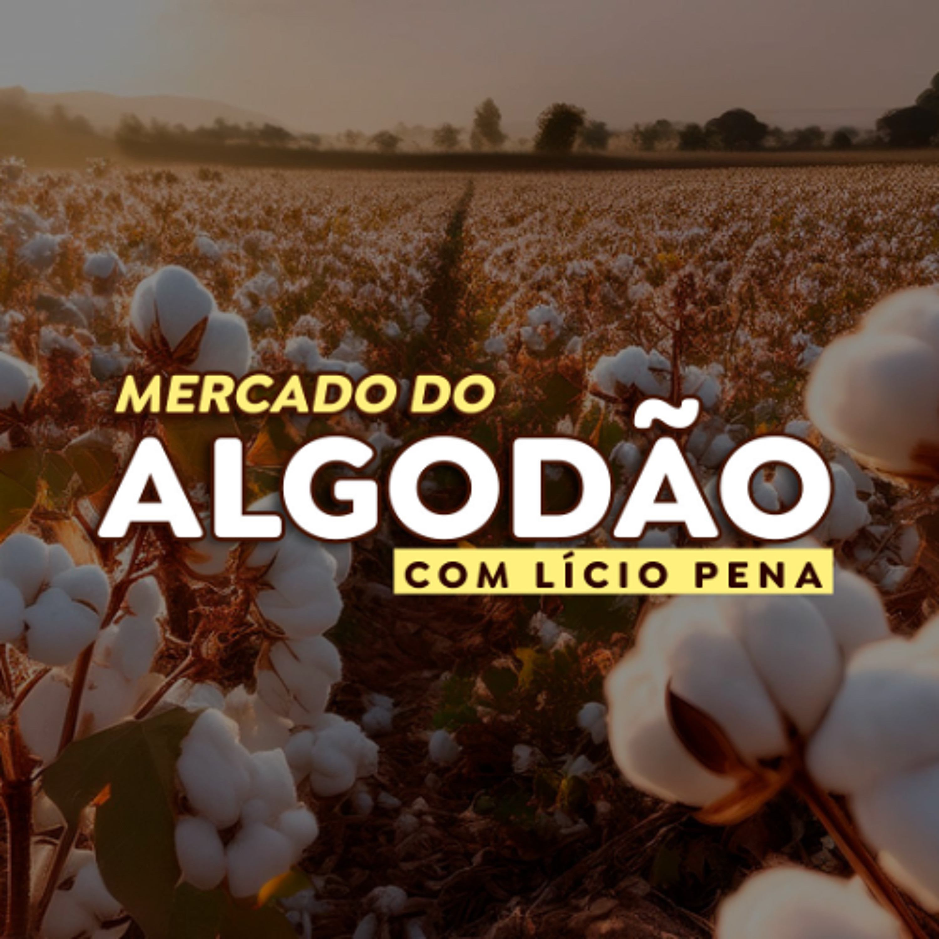 Paracatu Rural - Jornal do agronegócio