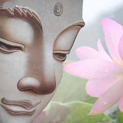 Phật Đảnh Tôn Thắng Đà Ra Ni 15p Masew