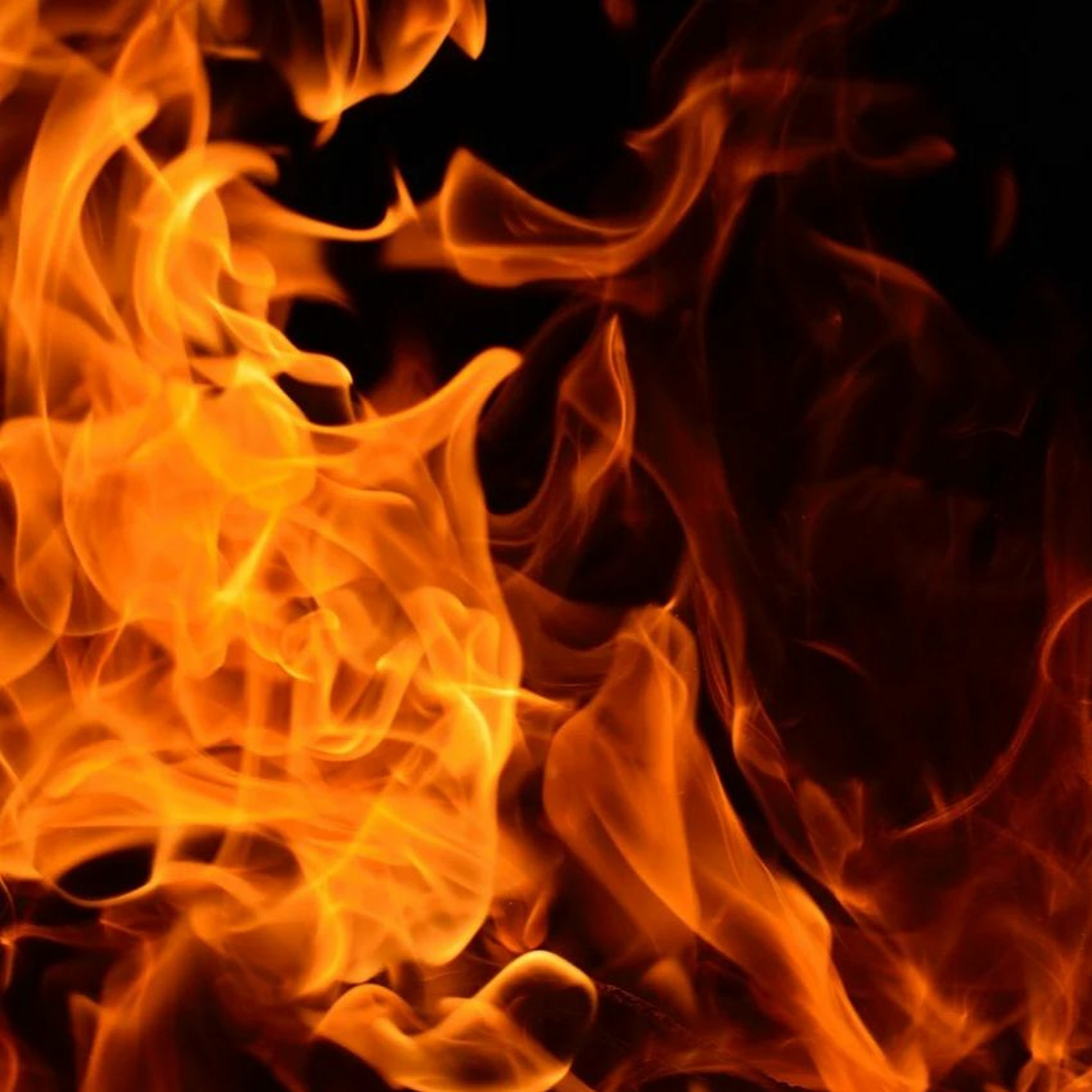 LW #123: Two Tragic Fires and News From April 21st - 28th, 2021 episode artwork
