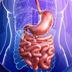 Intestine Detox Program | Remove Toxins from Your Intestines & Boost Digestion & Enhance Absorption