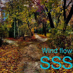 SSS - Wind flow