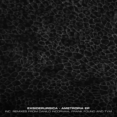 Exsiderurgica - Fibroblast