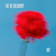 Are We Dreaming?