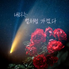 [Request] 내리는 별처럼 가겠다