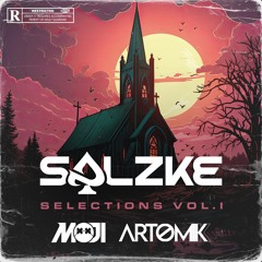 SALZKE SELECTION'S Vol 1 Ft. MOJI &  ARTOMIK [MASHUP PACK]