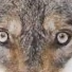 Hooja - Mer o mer  (Kevin McKay’s Lose control Mashup Blend by Wolfie)