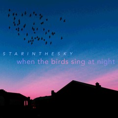 when the Birds sing at night (prod. YungJZAisDead)