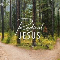 More than a Meal - Radical Jesus - John 6:22-35