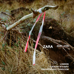 ZARA 6.4.25
