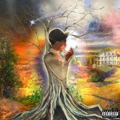 $AMAAD - NO PARTIES