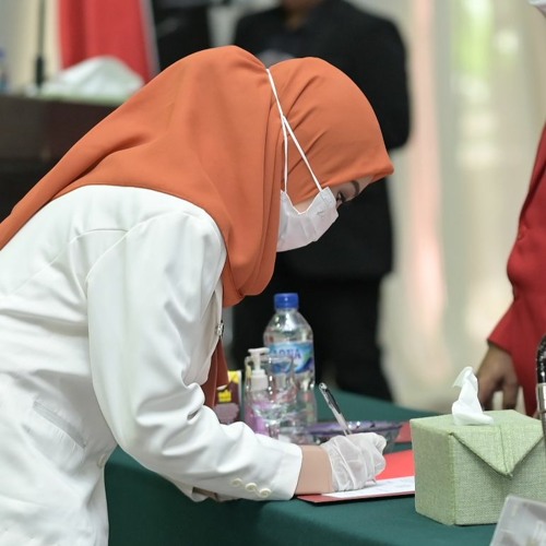 Bugis Tania Peddi Cedde-Yuki Vii