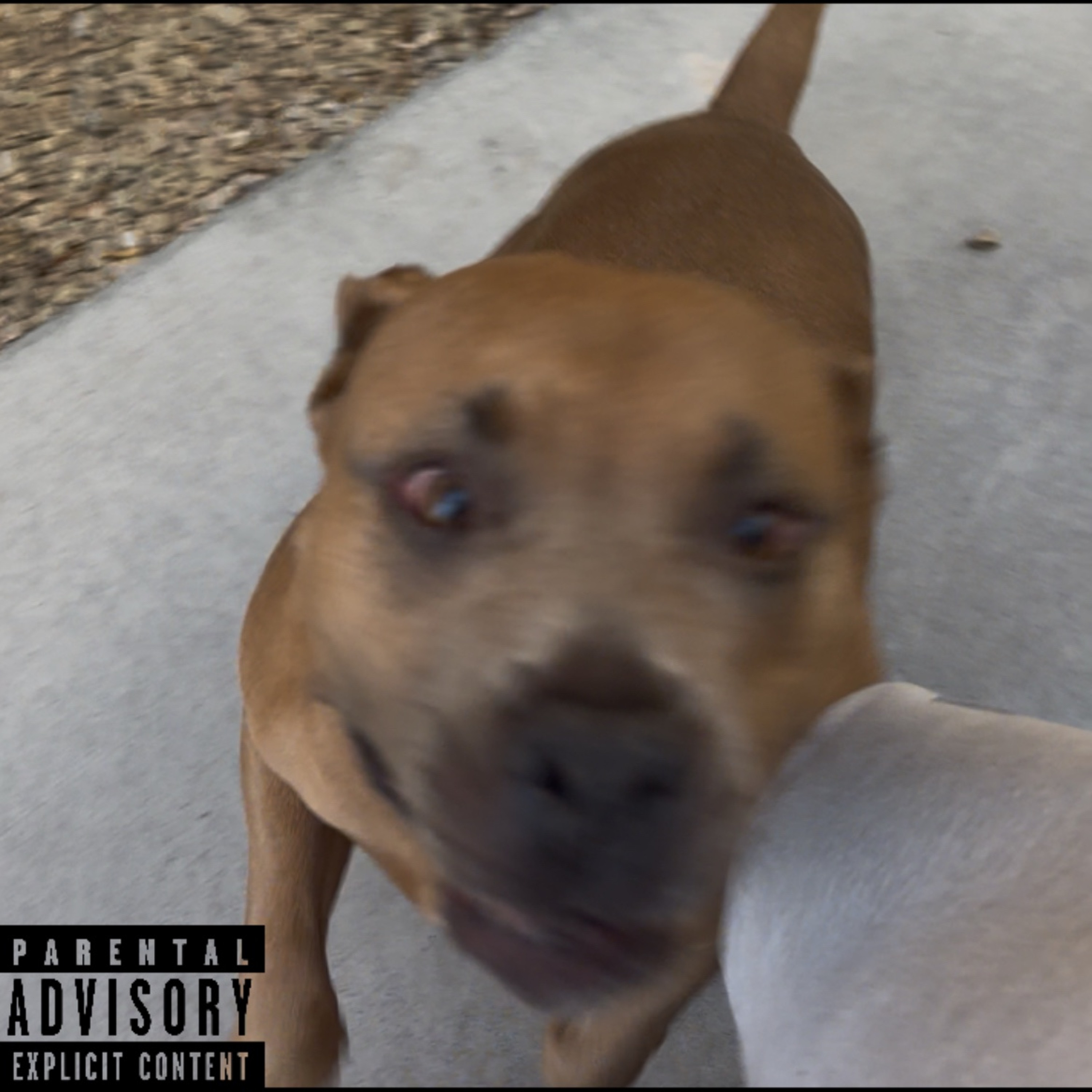 NARCISSIST (Contract Signed)-  (MUTT- Leon Thomas Cover)