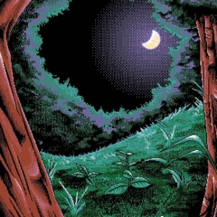 woods
