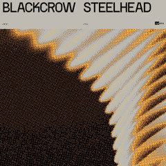 BlackCrow - SteelHead