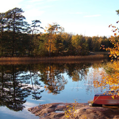 Small Brooks To Huge Rivers