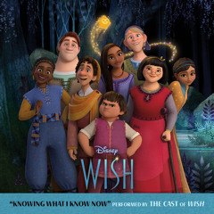Knowing What I Know Now (From "Wish"/Soundtrack Version)