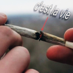 c'est la vie (ttoyema)