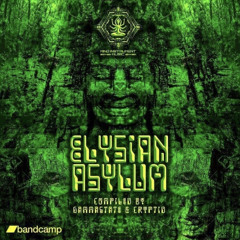 Toxicsir-dirty paradise 160 [V/A ElysianAsylum]