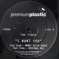 The Pinch - I Want You (Money Bitch Mix)