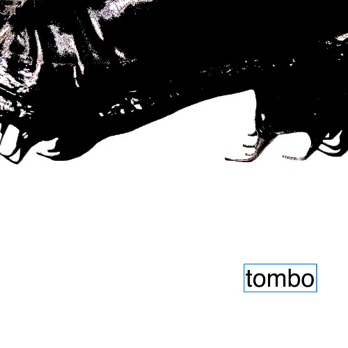 tombo - th rmX