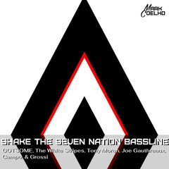 Shake The Seven Nation Bassline (Mark Coelho Mash)