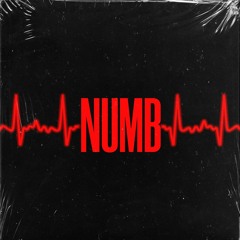 Numb ft Michael League & Wolfie Moncler