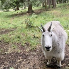 Beat it (prod.Fathal4u&Homeboynifty)