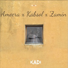Alex Twin: Ameera x Kabsol x Zamin Mashup (Ka-D Extended Remix)