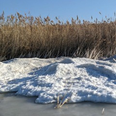 sister winter (sufjan stevens)