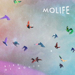 Bird of Mouth