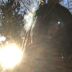 Srsem seless - Vitality (prod Srsem)