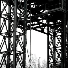 Analog vitality 8 (live)