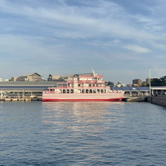 Ai Tomioka - Good bye-bye (cover)