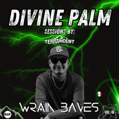DIVINE PALM SESSIONS by TERRAMOUNT VOL. 46 / WRAIN BAVES