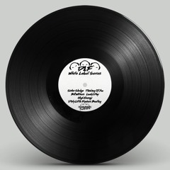 Evelyn Thomas - High Energy (Dirty Little Funkers Remix) PREVIEW