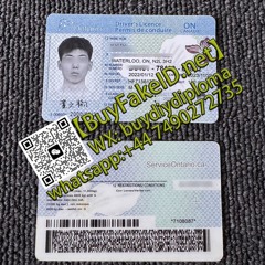 加拿大安省驾照购买，购买高仿假安省驾照，如何购买安省驾照，buy Canada ON ID【微信:buydiydiploma】