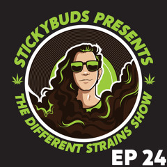 The Different Strains Show (EP24)