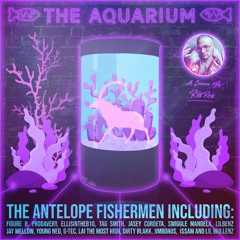 Call From Choppy Shark Doo Doo Doo [skit]