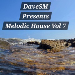 Melodic House Vol 7