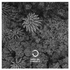 Chris IDH - Enamorado | Preview