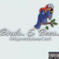 Birds & Bees
