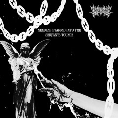 THE BEAUTY OF DISTORTIONS BRUTALITY