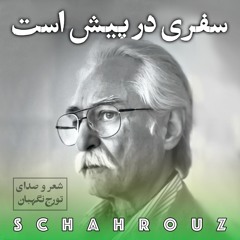 تورج نگهبان | سفری در پیش است