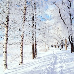 Frost (V2Draft)
