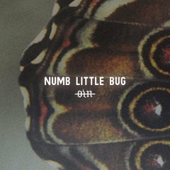 Our Last Night - Numb Little Bug
