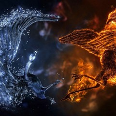 HARDGATORZ - FIRE FLIGHT 2023