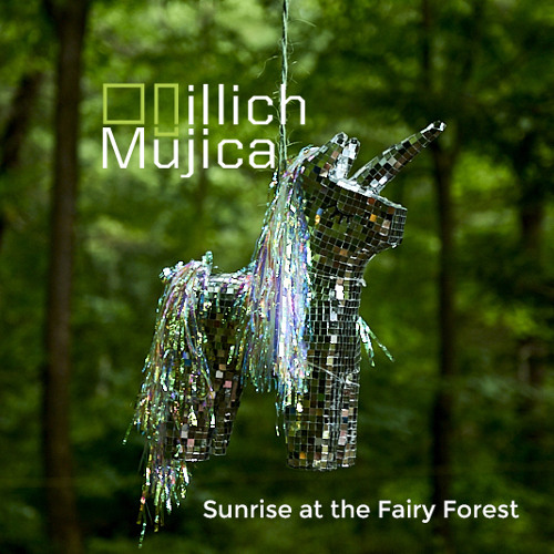 Illich Mujica - Sunrise at the NASP Fairy Forest 2020
